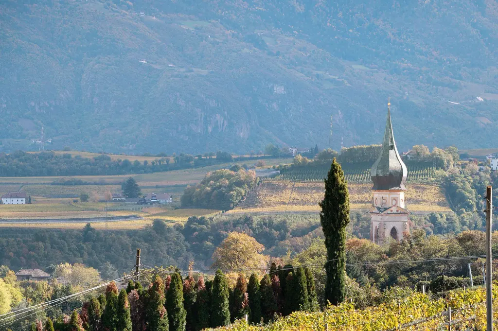 Blick über die Weinberge auf St. Pauls